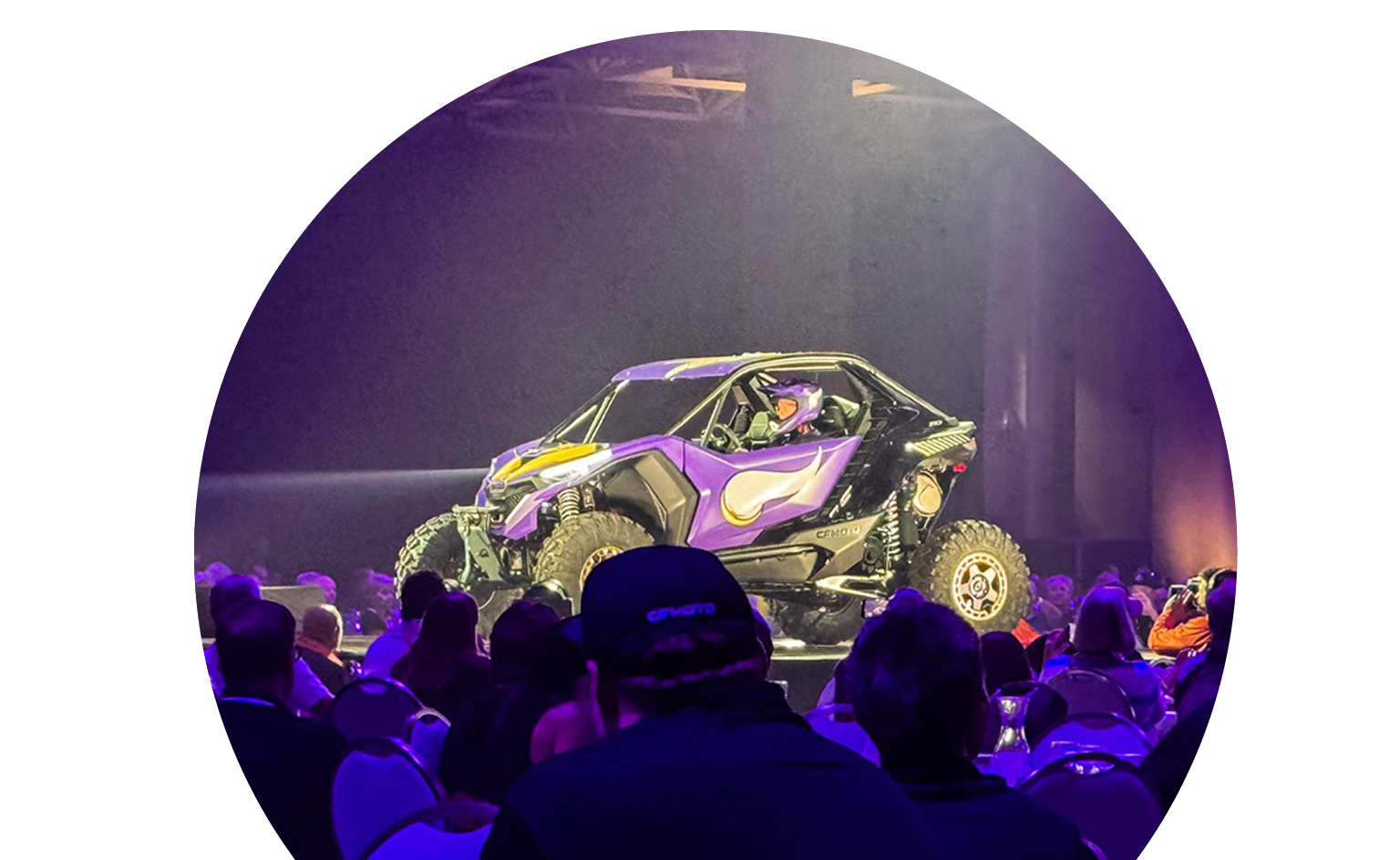 CFMoto Vikings Vehicle